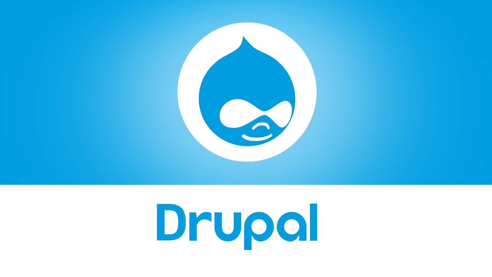 drupal cms un software visionario